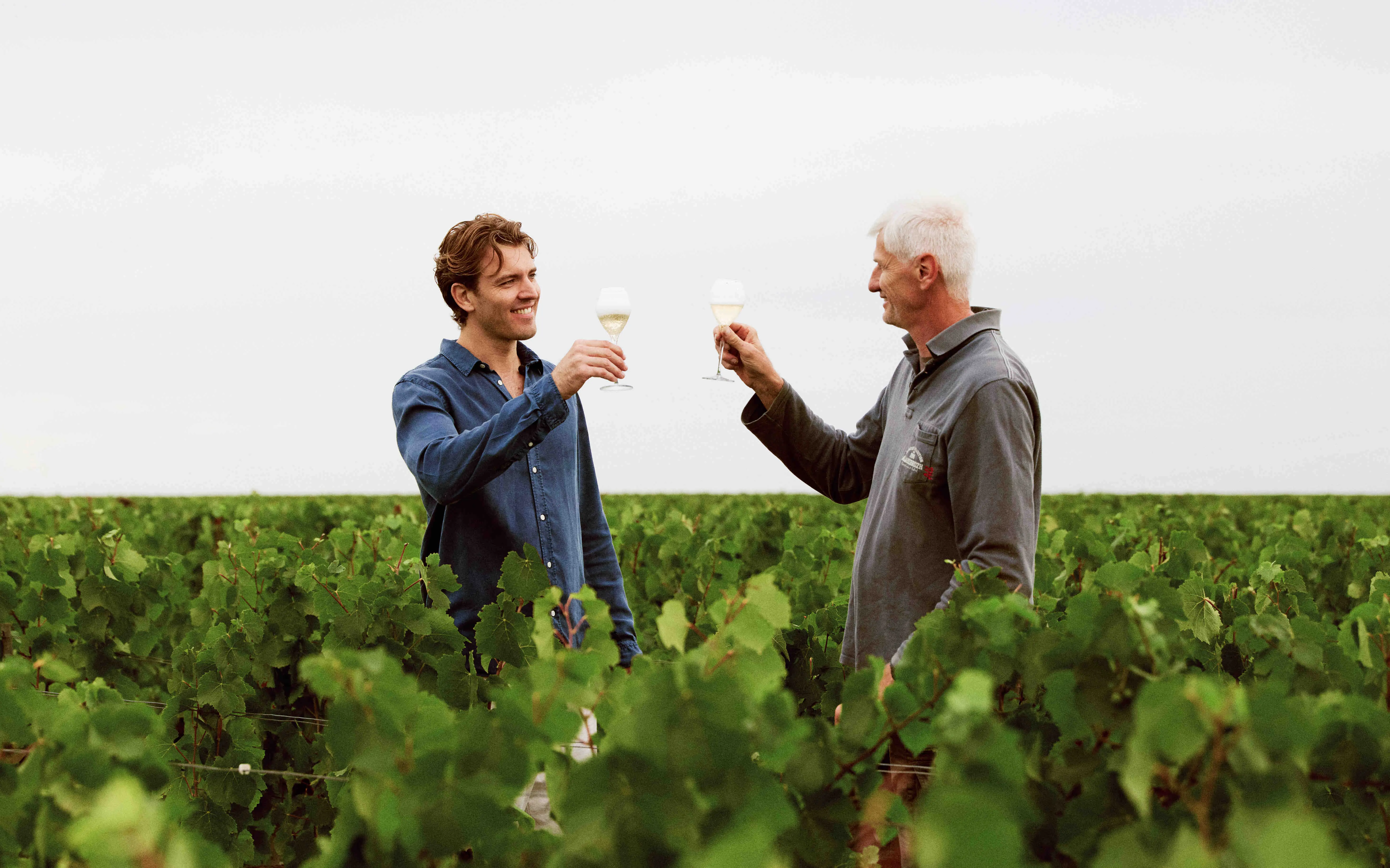 Franse champagneboer aan het werk